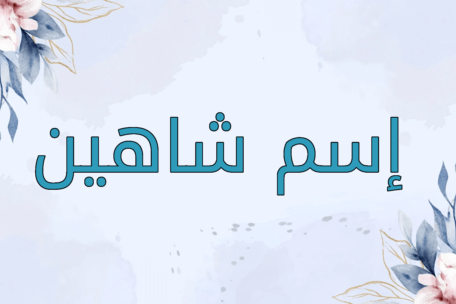 اسم شاهين