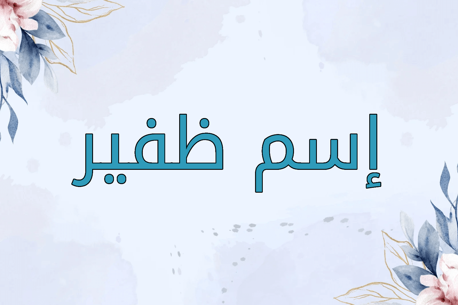 اسم ظفير