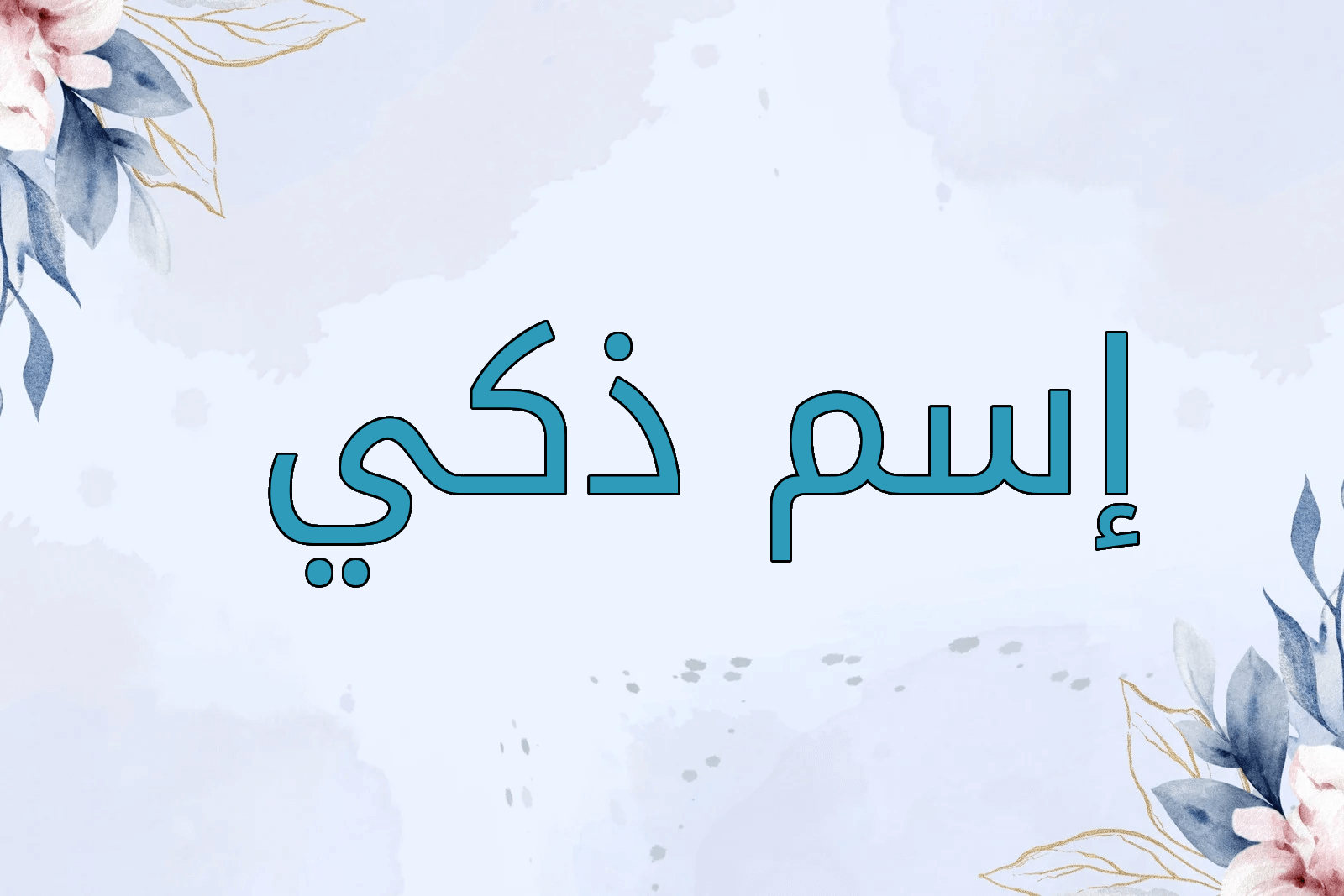 اسم ذكي