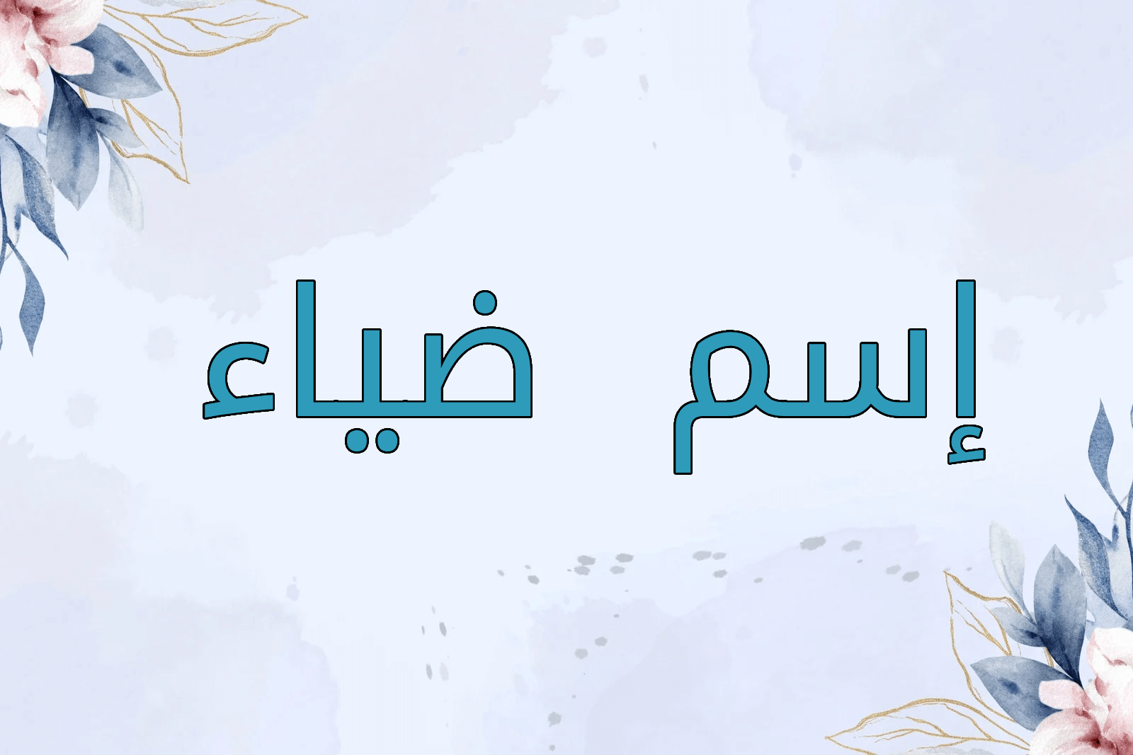 اسم ضياء