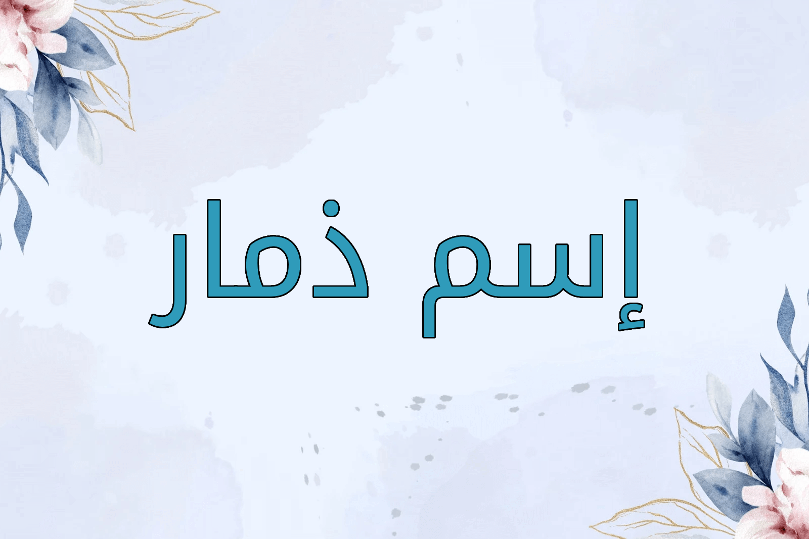 اسم ذمار