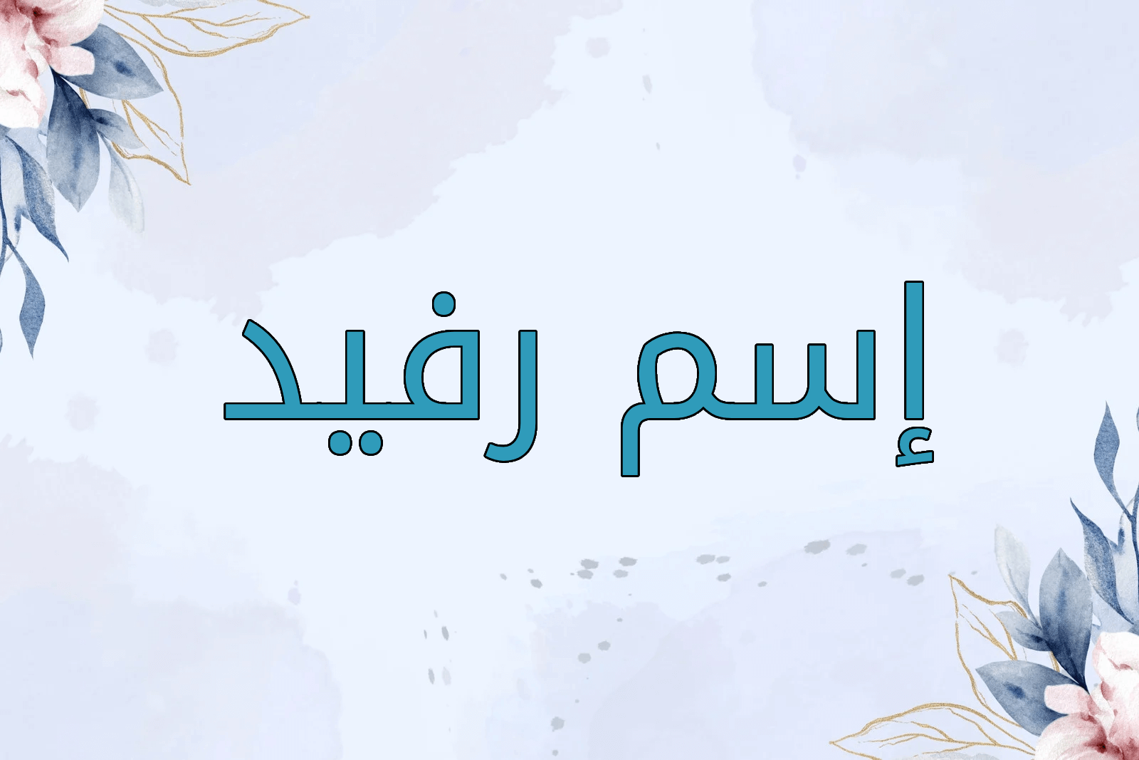 اسم رفيد