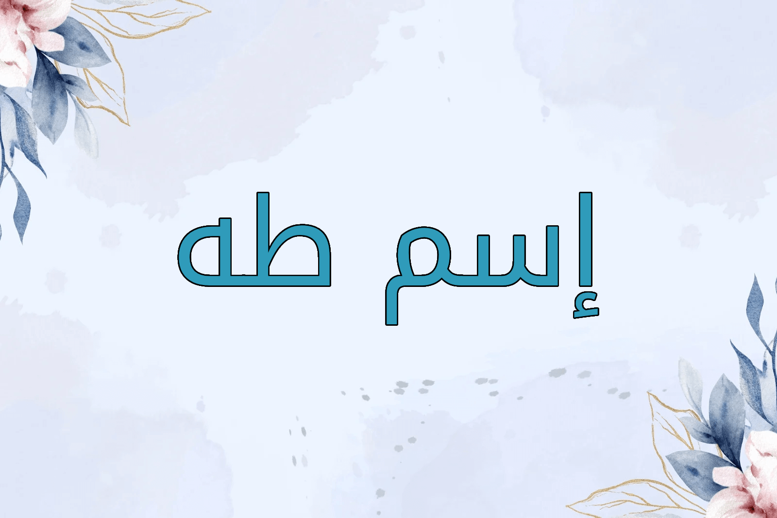 اسم طه
