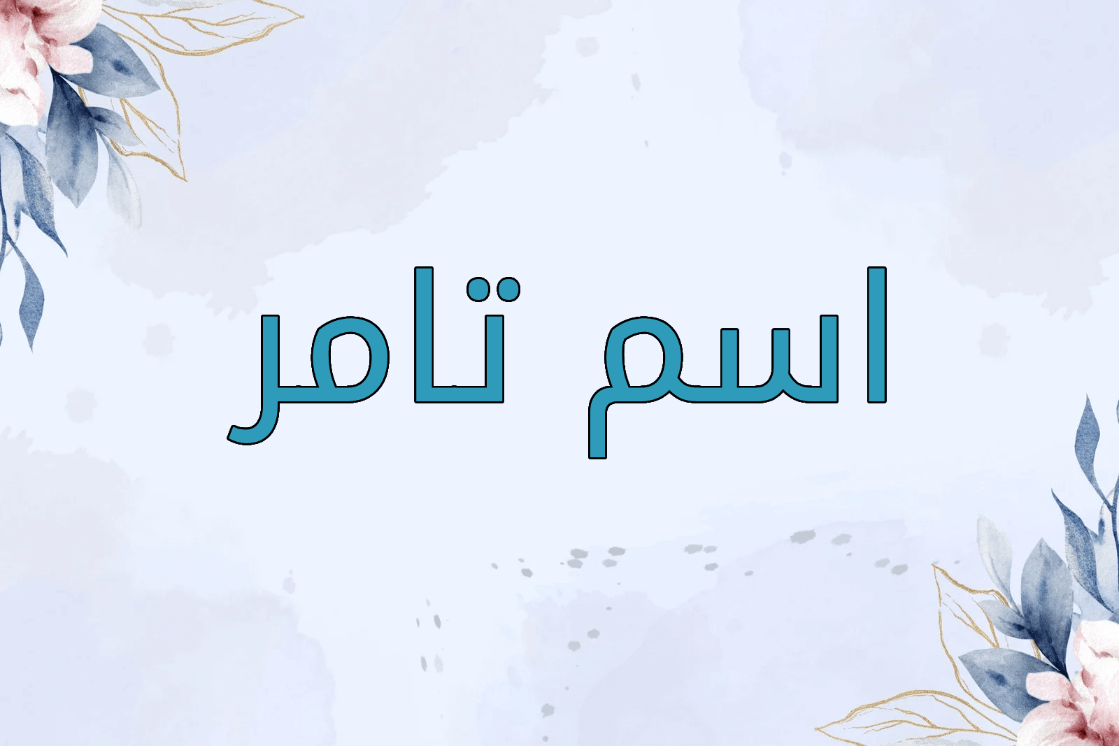 اسم تامر