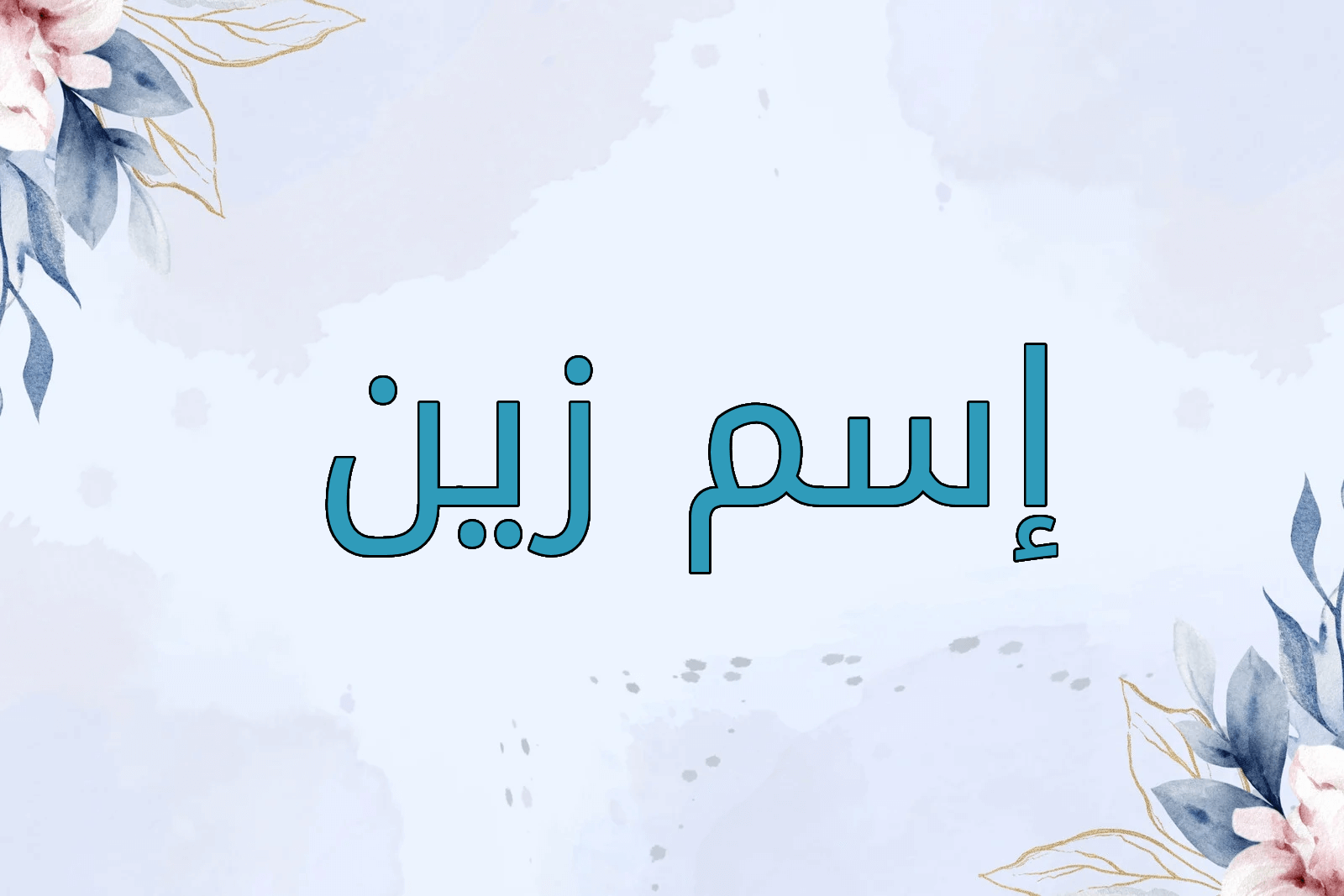 اسم زين