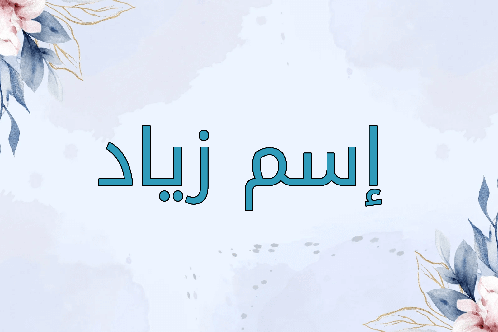 اسم زياد